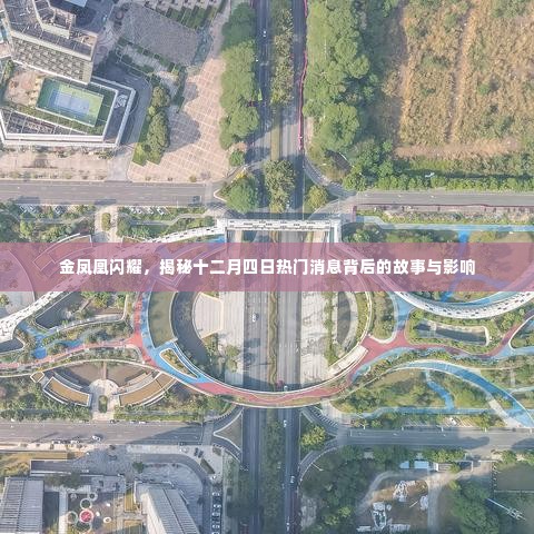 金凤凰背后的故事与影响,十二月四日热门消息的深度揭秘