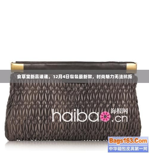 食草堂新品速递,时尚魅力包包最新款,无法抗拒的诱惑(12月4日)