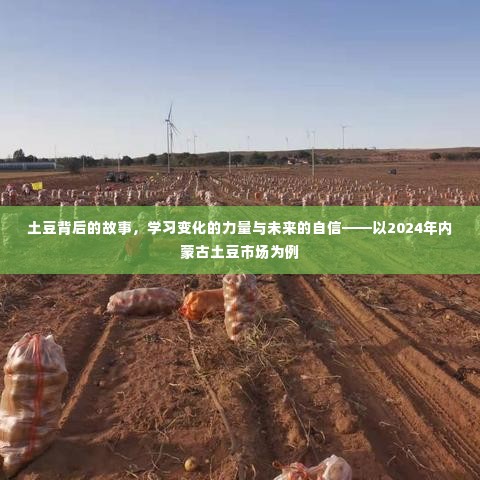 土豆背后的故事,探寻变化力量,展望内蒙古市场未来自信之旅(2024年)