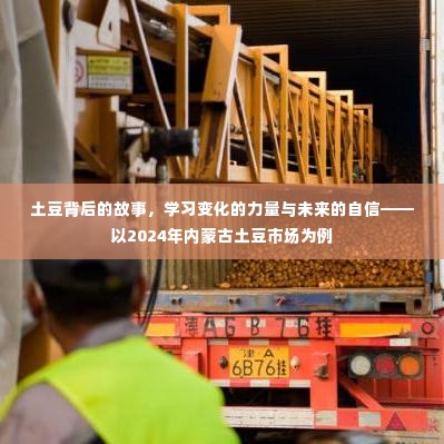 土豆背后的故事,探寻变化力量,展望内蒙古市场未来自信之旅(2024年)