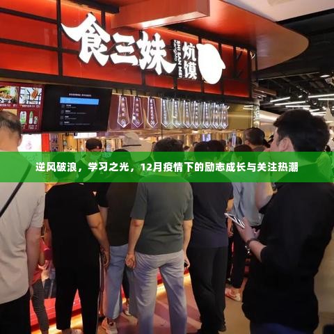 逆风破浪,学习之光,疫情下的励志成长与关注热潮