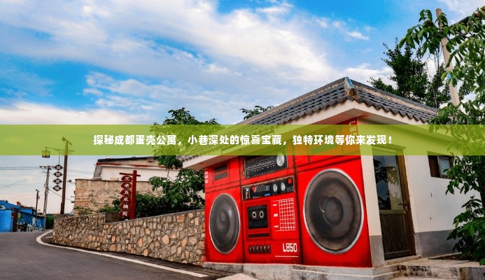 探秘成都蛋壳公寓,小巷深处的惊喜宝藏,独特环境等你来探寻!