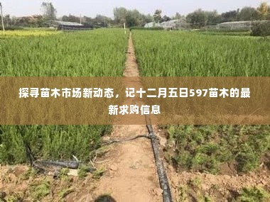 探寻苗木市场新动态,最新求购信息解析与苗木市场动态观察
