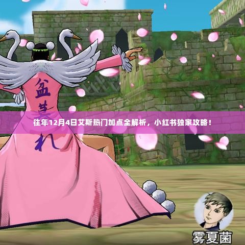 往年12月4日艾斯热门加点攻略,小红书独家解析