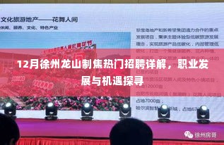 12月徐州龙山制焦热门招聘及职业发展机遇探寻