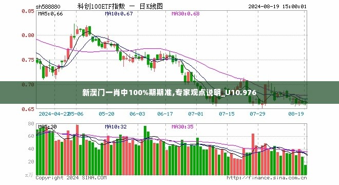新澳门一肖中100%期期准,专家观点说明_U10.976