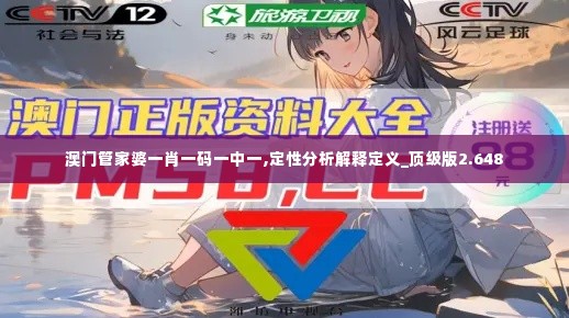 澳门管家婆一肖一码一中一,定性分析解释定义_顶级版2.648