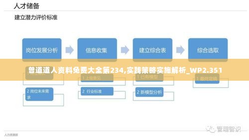 曾道道人资料免费大全第234,实践策略实施解析_WP2.351