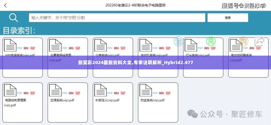 新奥彩2024最新资料大全,专家说明解析_Hybrid2.477