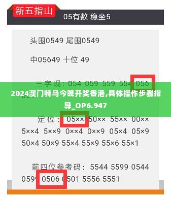 2024澳门特马今晚开奖香港,具体操作步骤指导_OP6.947