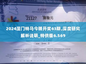 2024澳门特马今晚开奖63期,深度研究解析说明_特供版6.569