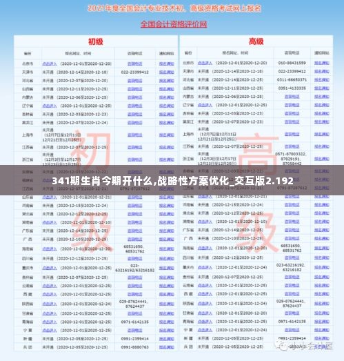341期生肖今期开什么,战略性方案优化_交互版2.192
