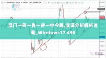澳门一码一肖一待一中今晚,实证分析解析说明_Windows17.490
