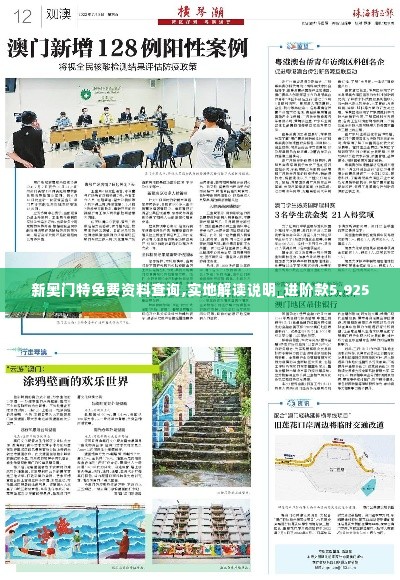 新奥门特免费资料查询,实地解读说明_进阶款5.925