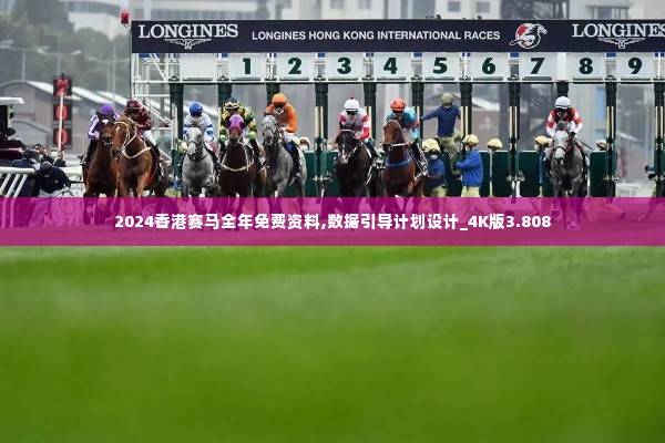 2024香港赛马全年免费资料,数据引导计划设计_4K版3.808