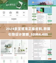 2024新澳精准正版资料,数据引导设计策略_5DM4.405