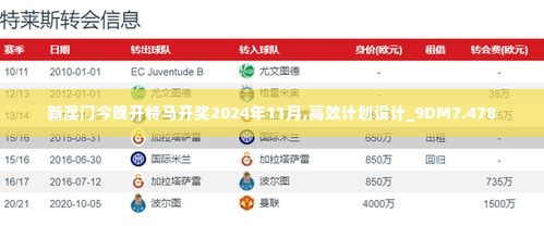 新澳门今晚开特马开奖2024年11月,高效计划设计_9DM7.478