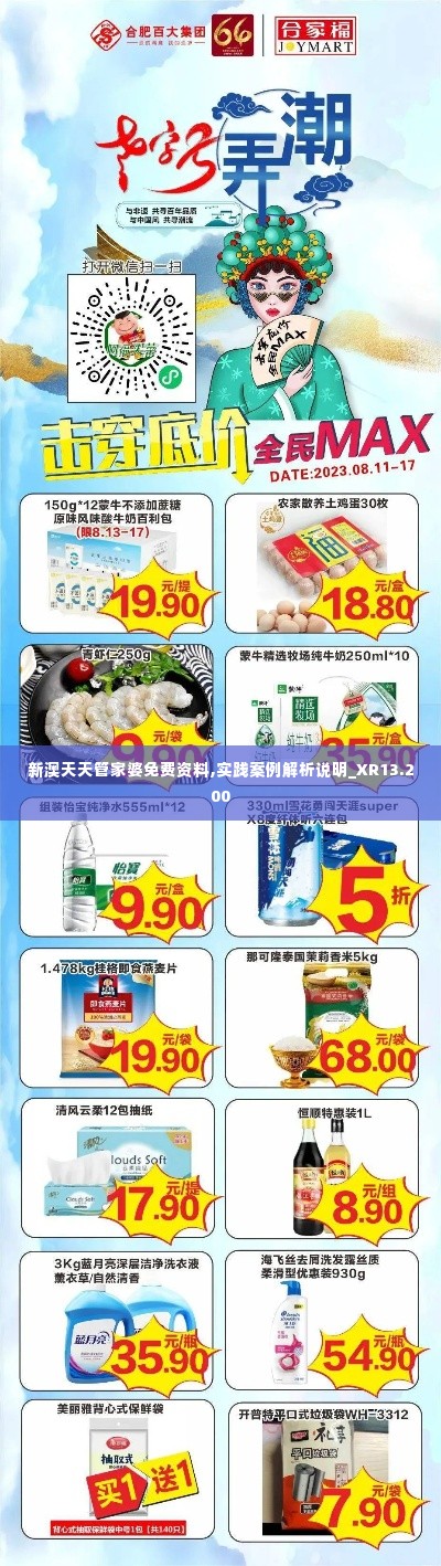 新澳天天管家婆免费资料,实践案例解析说明_XR13.200