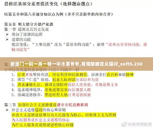 新澳门一码一肖一特一中水果爷爷,精细策略定义探讨_soft5.230