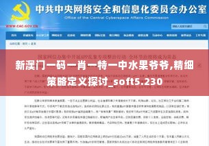 新澳门一码一肖一特一中水果爷爷,精细策略定义探讨_soft5.230