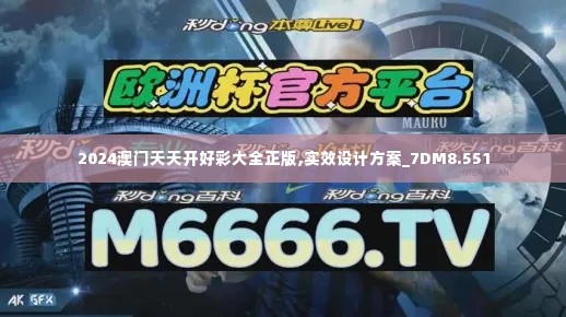 2024澳门天天开好彩大全正版,实效设计方案_7DM8.551