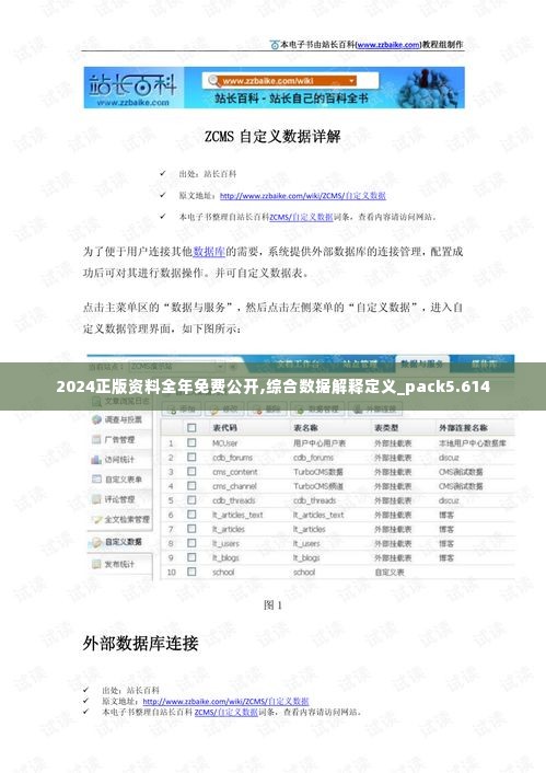 2024正版资料全年免费公开,综合数据解释定义_pack5.614