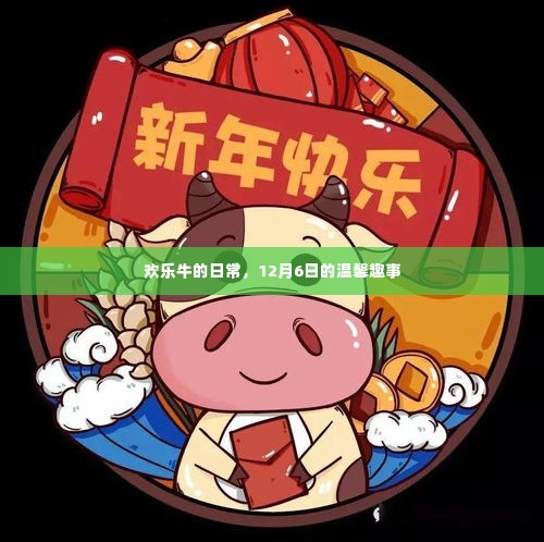 欢乐牛的日常,温馨趣事记录于12月6日
