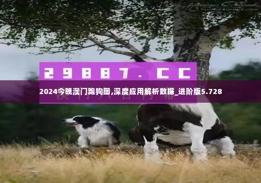 2024今晚澳门跑狗图,深度应用解析数据_进阶版5.728