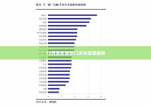 张宏良热门评论深度解析,聚焦十二月热议话题