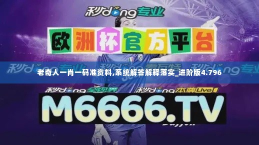 老奇人一肖一码准资料,系统解答解释落实_进阶版4.796