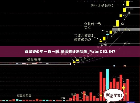 管家婆必中一肖一鸣,灵活性计划实施_PalmOS2.847