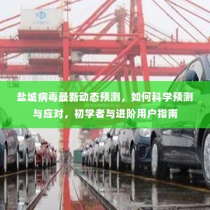 盐城病毒最新动态预测及科学应对指南,初学者与进阶用户的必备参考