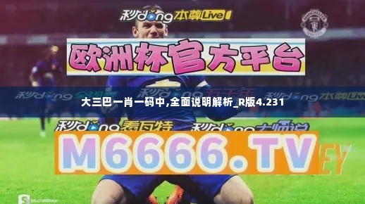 大三巴一肖一码中,全面说明解析_R版4.231