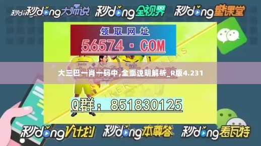 大三巴一肖一码中,全面说明解析_R版4.231