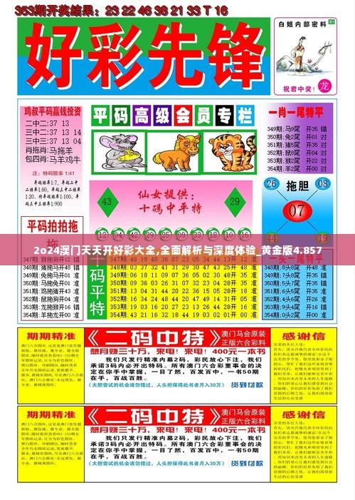 2o24澳门天天开好彩大全,全面解析与深度体验_黄金版4.857
