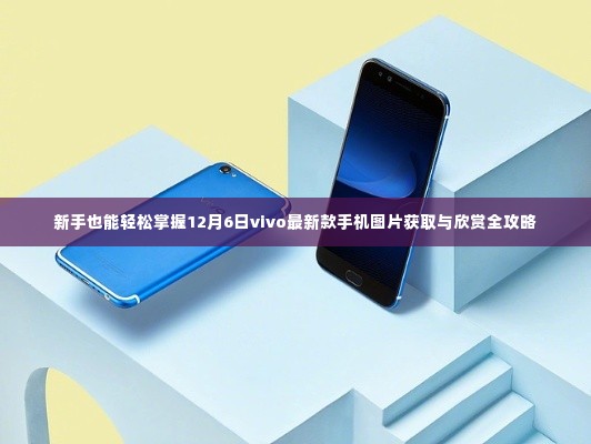 新手指南,轻松获取与欣赏vivo最新款手机图片全攻略(12月6日版)