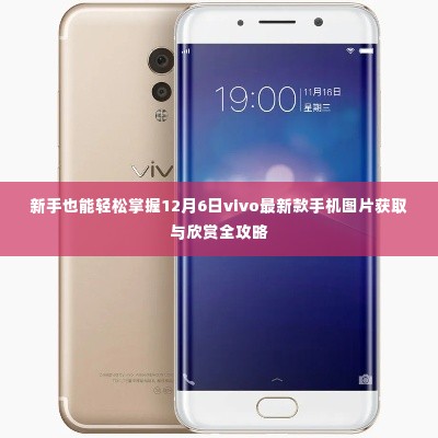新手指南,轻松获取与欣赏vivo最新款手机图片全攻略(12月6日版)