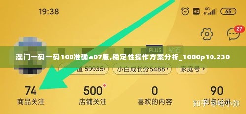 澳门一码一码100准确a07版,稳定性操作方案分析_1080p10.230