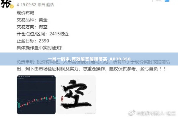 一肖一码中,有效解答解释落实_AP19.350