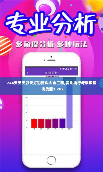246天天天彩天好彩资料大全二四,实地执行考察数据_挑战版1.287