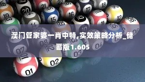 澳门管家婆一肖中特,实效策略分析_储蓄版1.605
