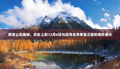 舜龙公司揭秘,历史与探寻自然美景之旅的奇妙缘分在12月6日显现