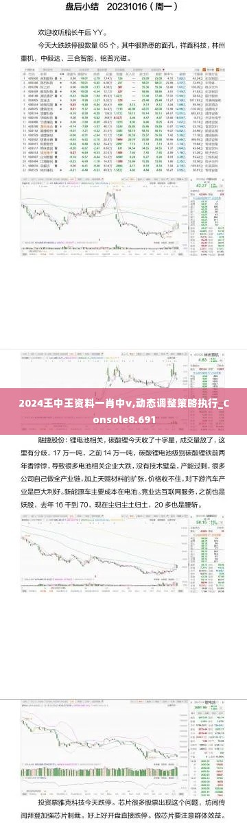 2024王中王资料一肖中v,动态调整策略执行_Console8.691
