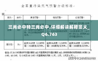 三肖必中特三肖必中,详细解读解释定义_Q6.763