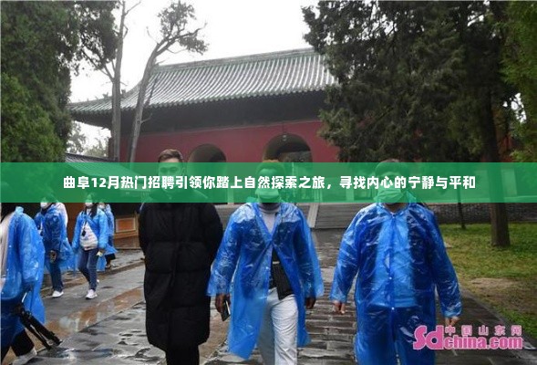 曲阜12月热门招聘,开启自然探索之旅,寻找内心宁静与平和的旅程