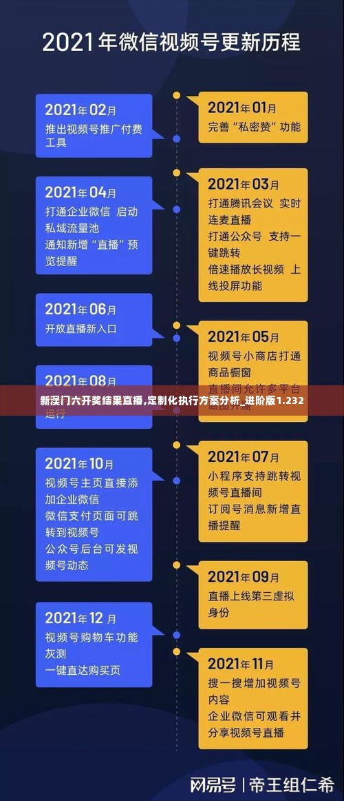 新澳门六开奖结果直播,定制化执行方案分析_进阶版1.232