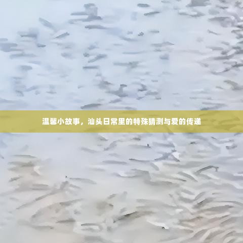 汕头日常,特殊猜测与爱的温馨传递故事