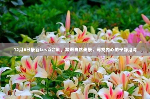 最新Les百合剧,踏遍自然美景,探寻内心宁静港湾(12月6日)