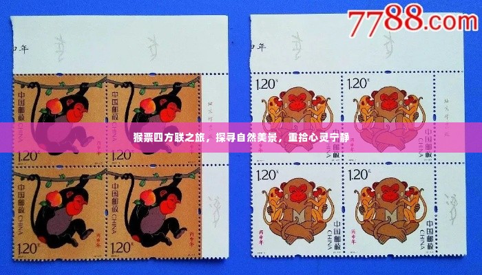 猴票四方联之旅,探寻自然美景,心灵宁静之旅