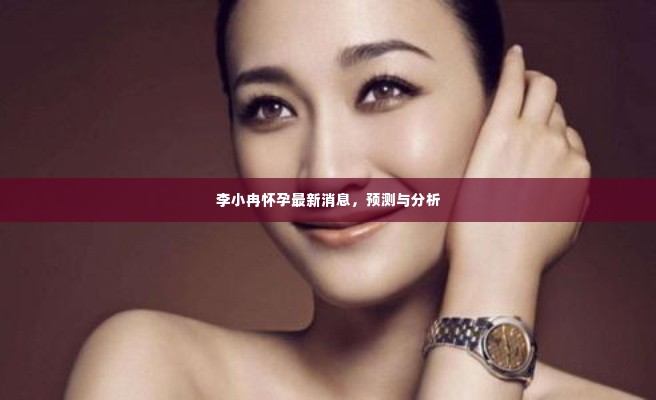 李小冉怀孕传闻最新动态,预测与分析